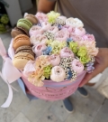 "Macaron Bloom"