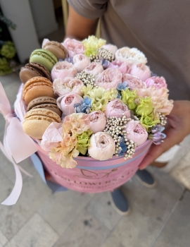 "Macaron Bloom"