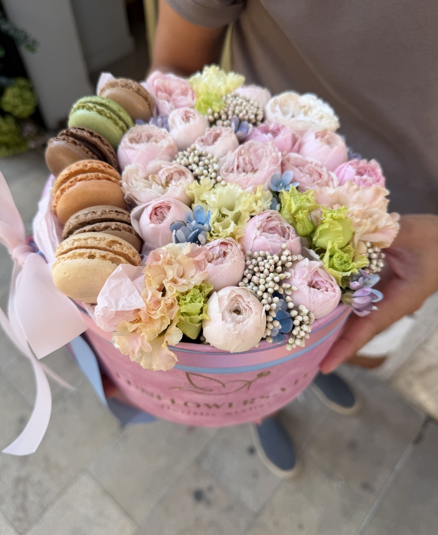 "Macaron Bloom"