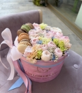 "Macaron Bloom"