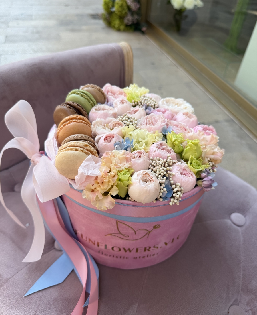 "Macaron Bloom"