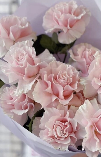 French roses